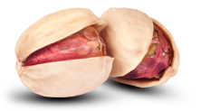 iranian pistachio