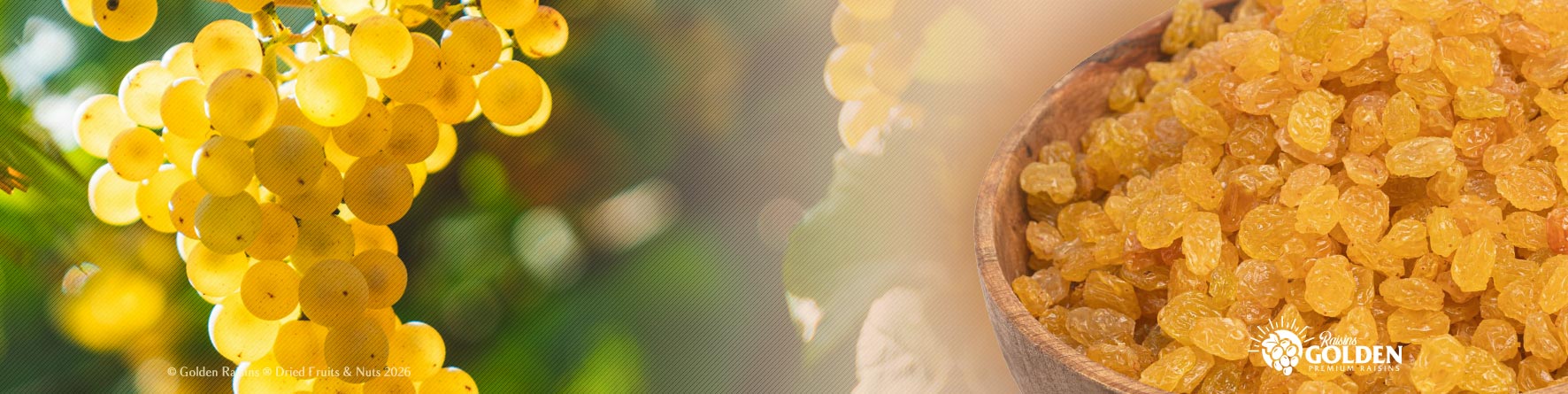 unique iranian raisins