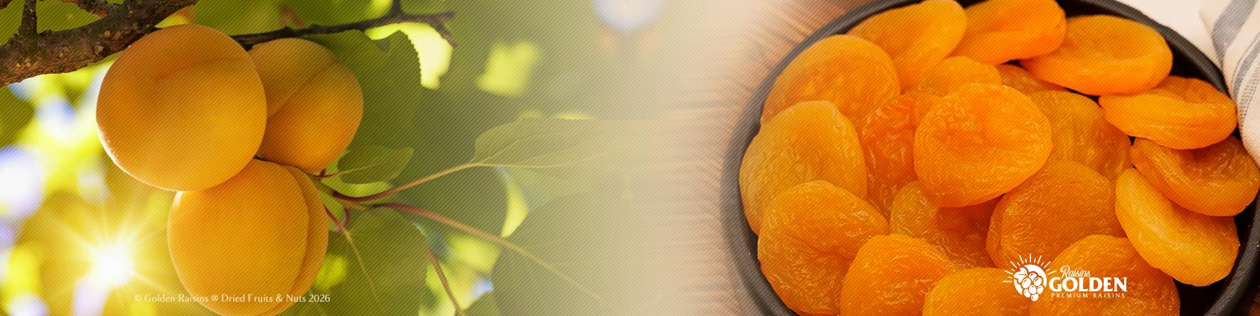 unique iranian dates